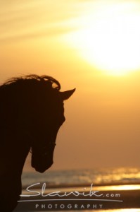 Friese_Reiten_Strand_60758.JPG