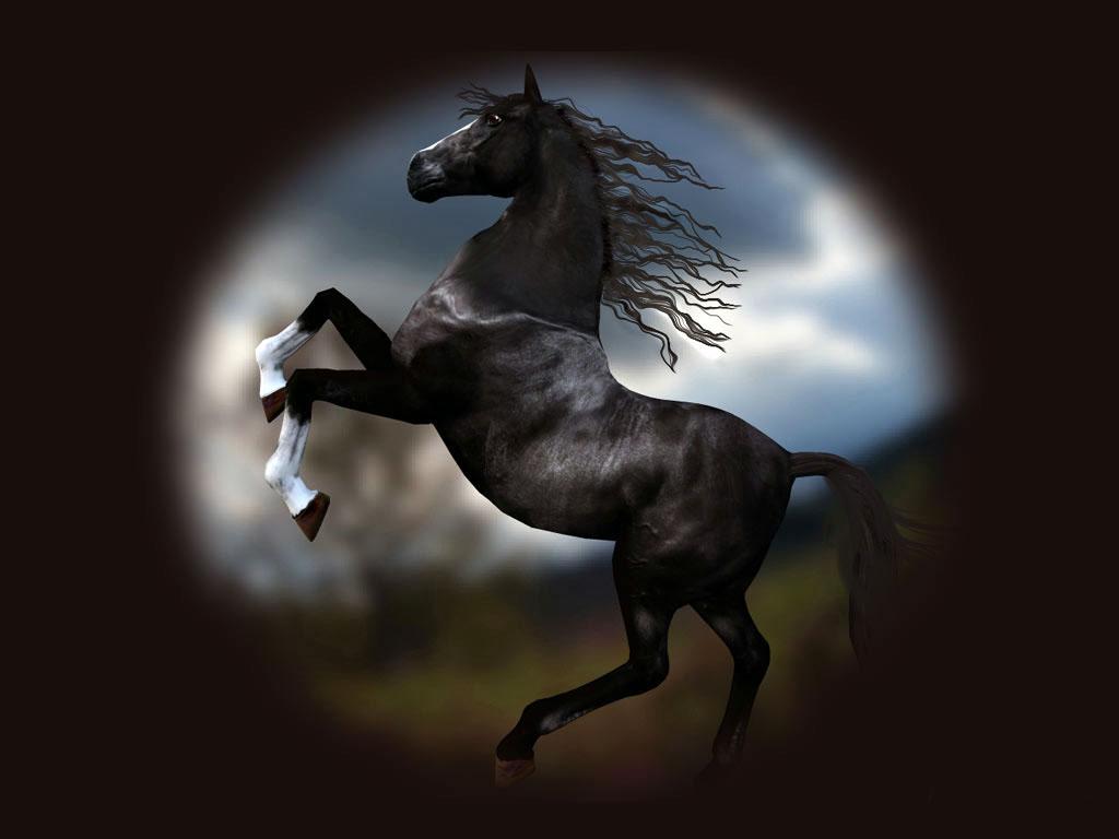 Horses_05.jpg
