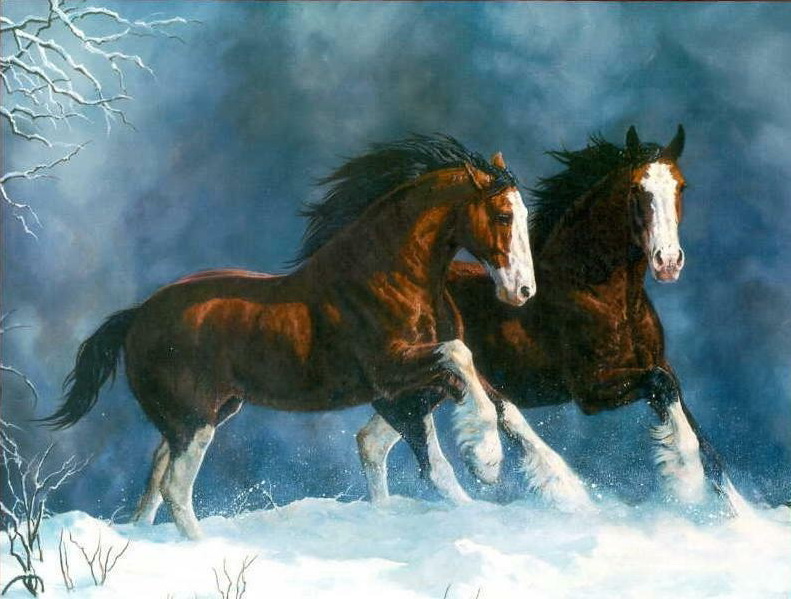 Horses_018.jpg